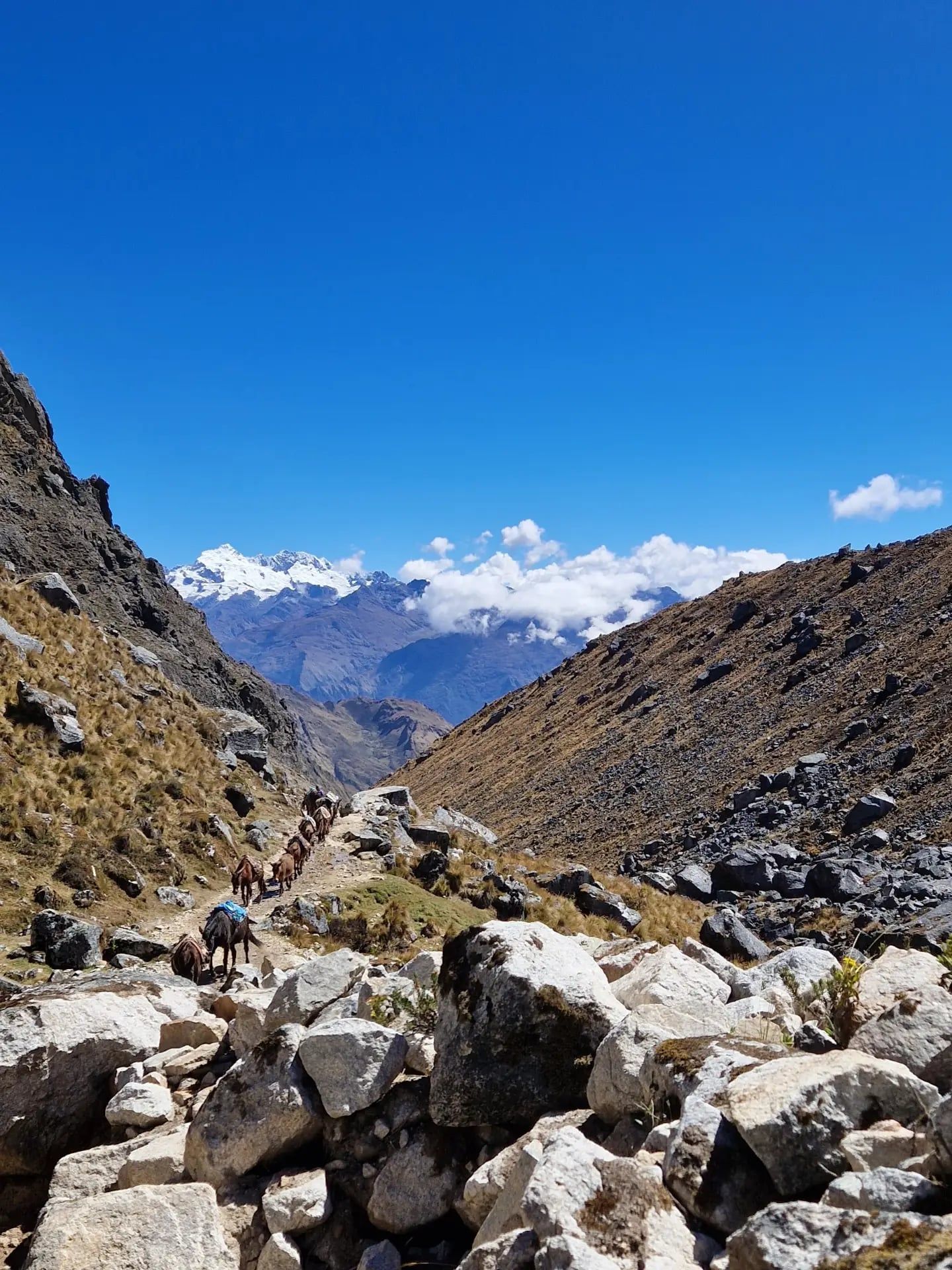 Salkantay Trek view